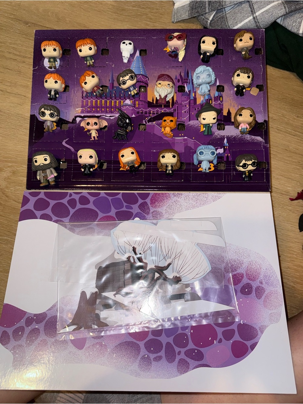 Harry Potter Funko Advent Calendar